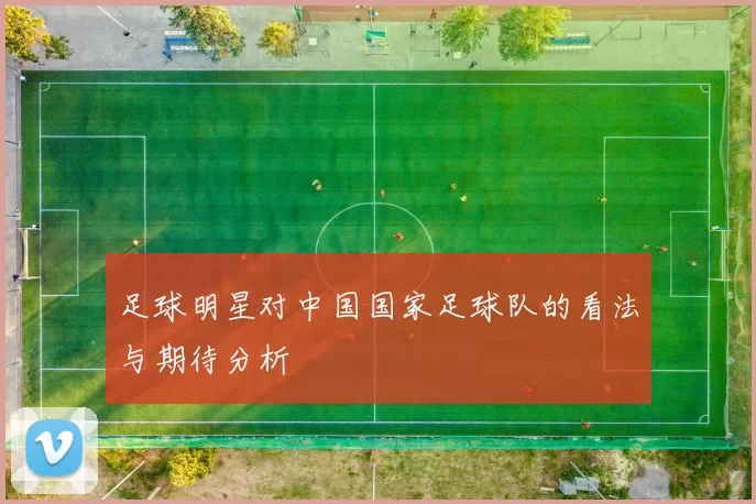 足球明星对中国国家足球队的看法与期待分析