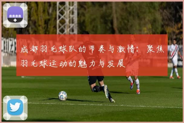 成都羽毛球队的节奏与激情：聚焦羽毛球运动的魅力与发展