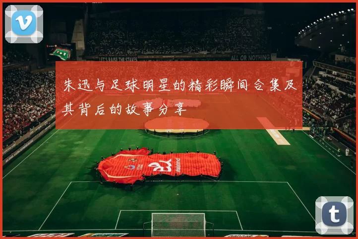 朱迅与足球明星的精彩瞬间合集及其背后的故事分享