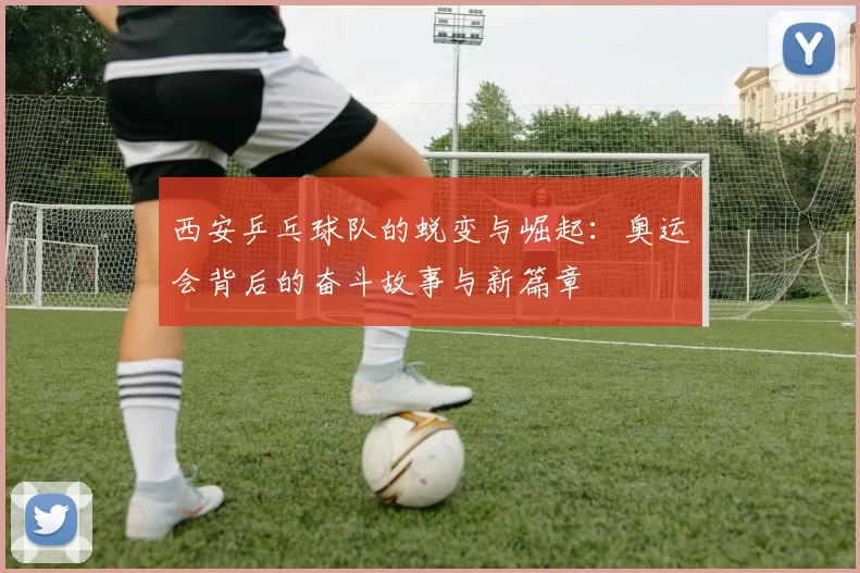 西安乒乓球队的蜕变与崛起：奥运会背后的奋斗故事与新篇章
