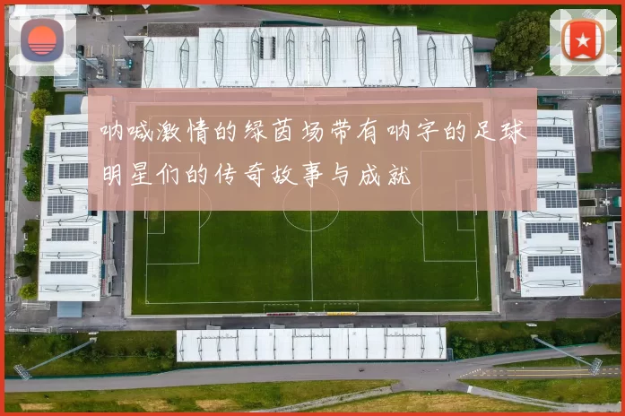 呐喊激情的绿茵场带有呐字的足球明星们的传奇故事与成就