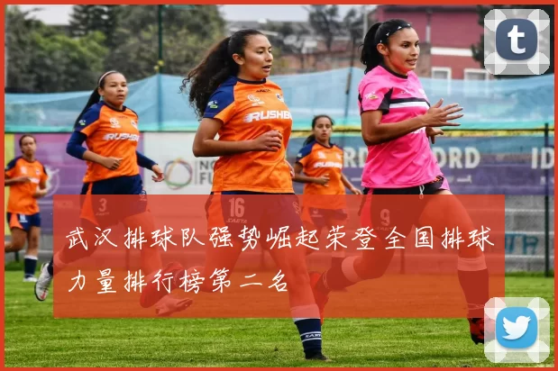 武汉排球队强势崛起荣登全国排球力量排行榜第二名