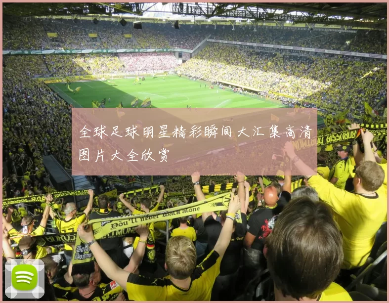 全球足球明星精彩瞬间大汇集高清图片大全欣赏