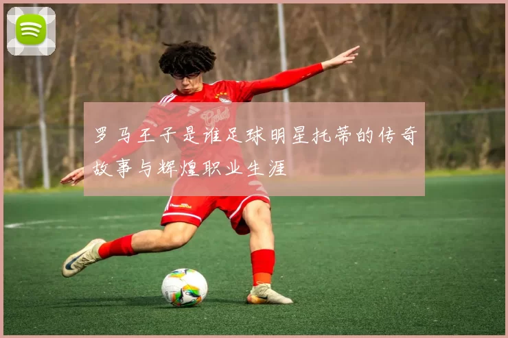 罗马王子是谁足球明星托蒂的传奇故事与辉煌职业生涯